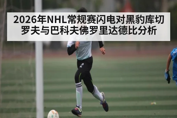2026年NHL常规赛闪电对黑豹库切罗夫与巴科夫佛罗里达德比分析